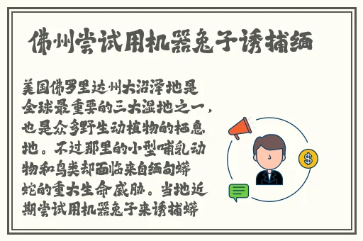 桃子视频高清免费观看